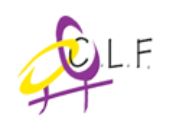 Coordination Lesbienne en France (CLF)